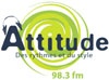 Attitude